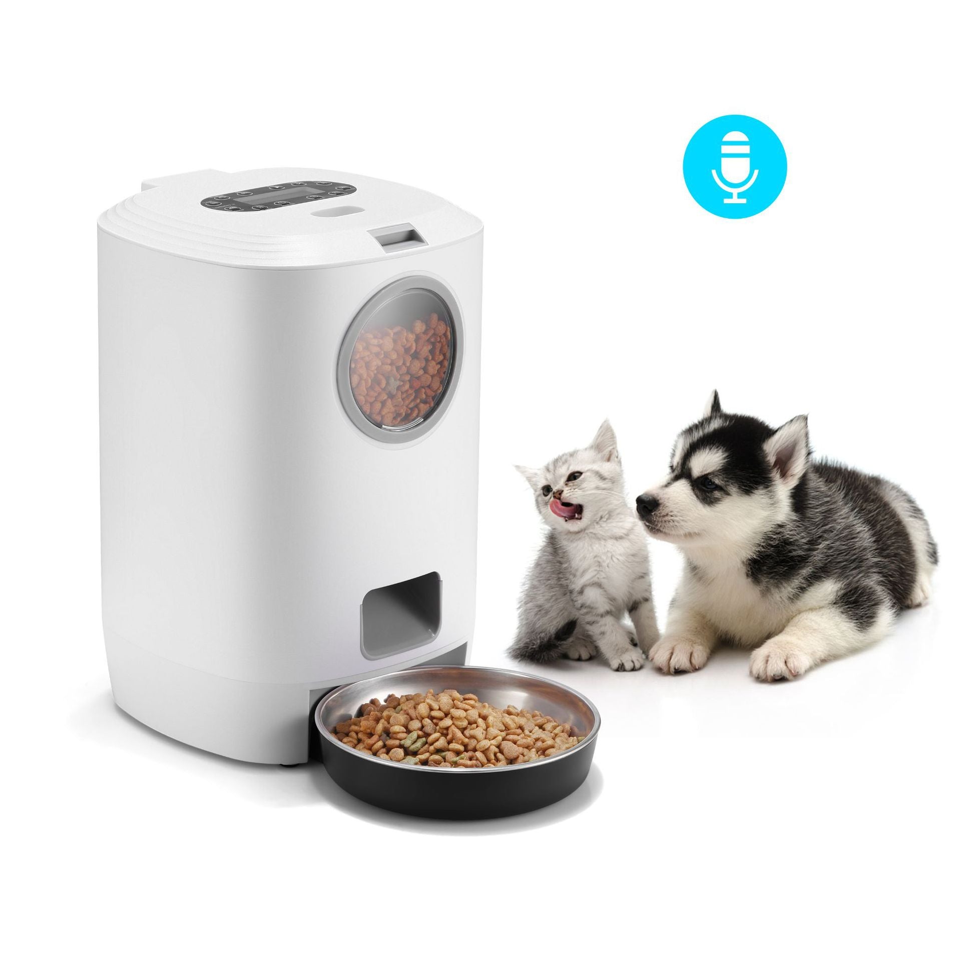 Dog Automatic Feeders & Water Dispenser